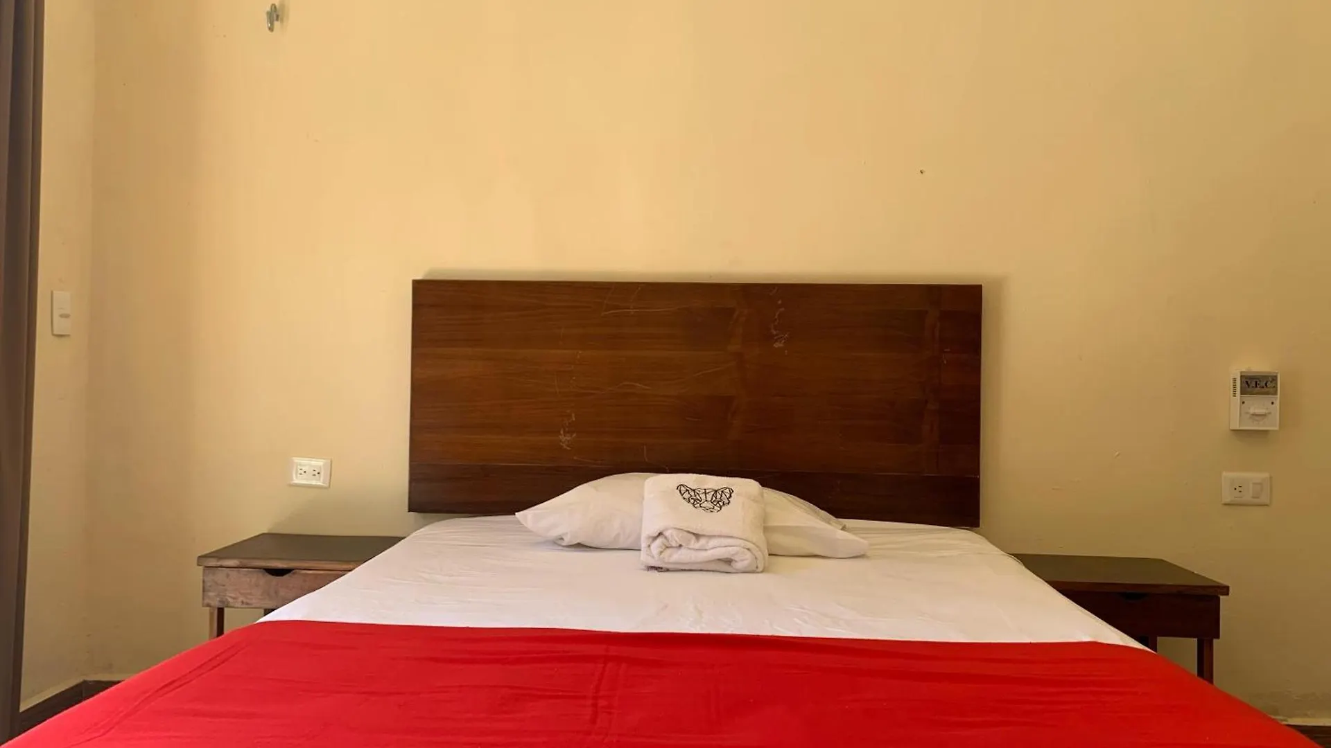 Apartamento Casa Delfín Tulum Macario Gomez Habitación en casa particular